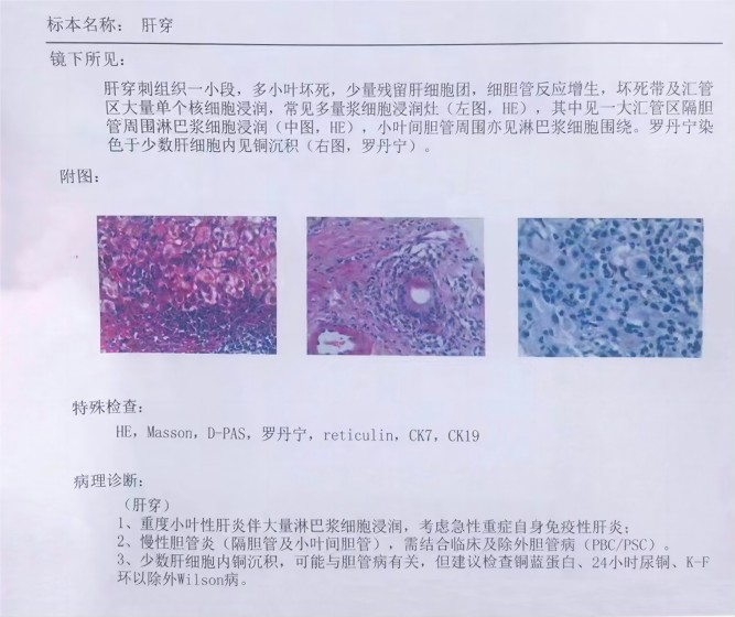 微信圖片_20231010234749 - 副本(1).jpg